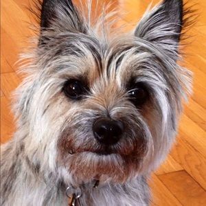 Meet your Posher, Claire