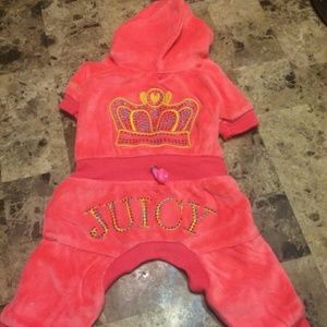 Juicy couture dog tracksuit