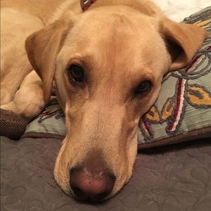 Meet your Posher, Caty