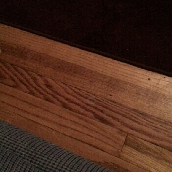 Meet your Posher, Robin - Picture 1 of 1