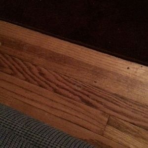 Meet your Posher, Robin