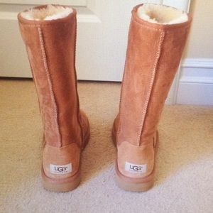 Tall Chestnut Uggs