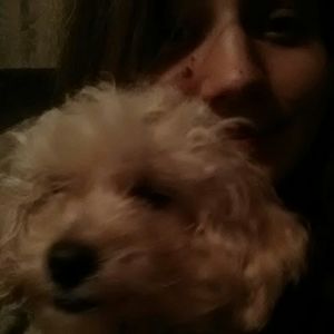 Meet your Posher, Brittany gail