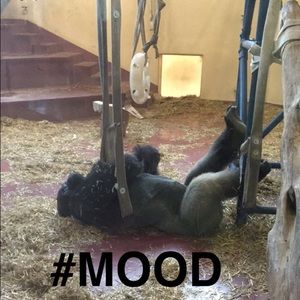 Meet your Posher, James