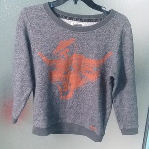 Texas longhorn sweater PINK