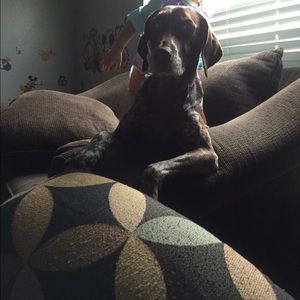 Meet your Posher, Kelsie