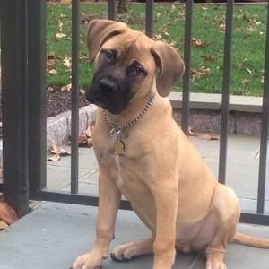 Meet your Posher, Dena