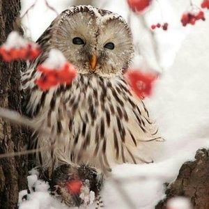 Meet your Posher, Juanita