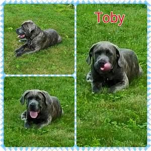 Meet your Posher, Gregg