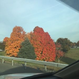 Meet your Posher, Cara