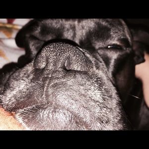 Meet your Posher, Amber