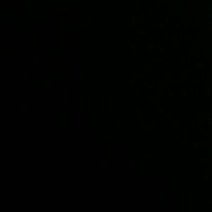 Meet your Posher, Sherell