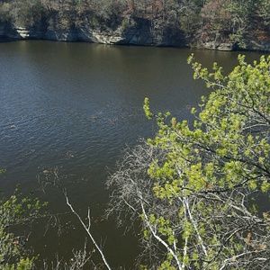 Meet your Posher, Maggie