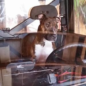 Meet your Posher, Megann