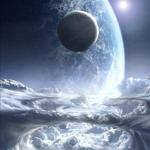 Meet your Posher, Tasha