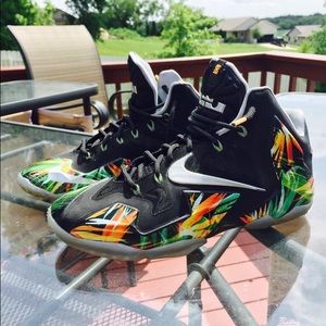 Lebron 11 Everglades (Rare)