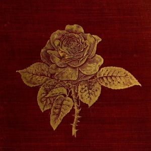 Meet your Posher, Caitlin