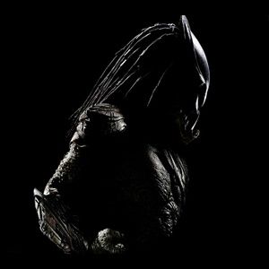 Meet your Posher, Terry