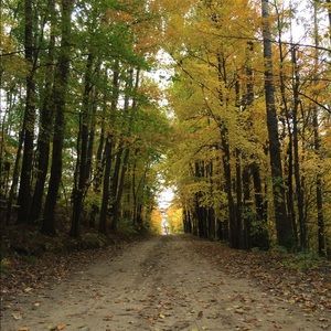 Meet your Posher, Toni