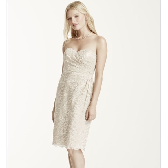 David's bridal- strapless metallic lace dress