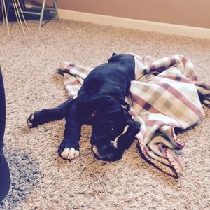 Meet your Posher, Tracy