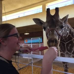 Meet your Posher, Avery