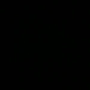 Meet your Posher, Damika