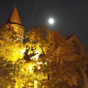 Meet your Posher, Austin