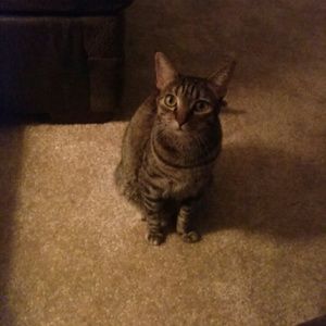 Meet your Posher, Sharon