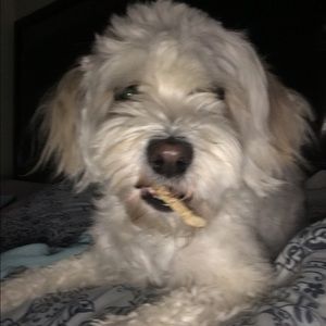 Meet your Posher, Rocio