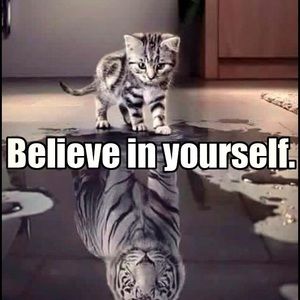 Meet your Posher, Deanna