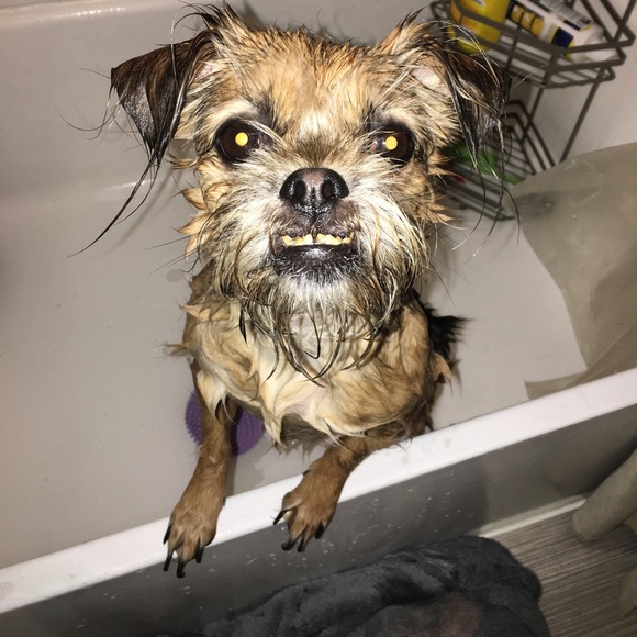 Meet your Posher, Juliane - Picture 3 of 4