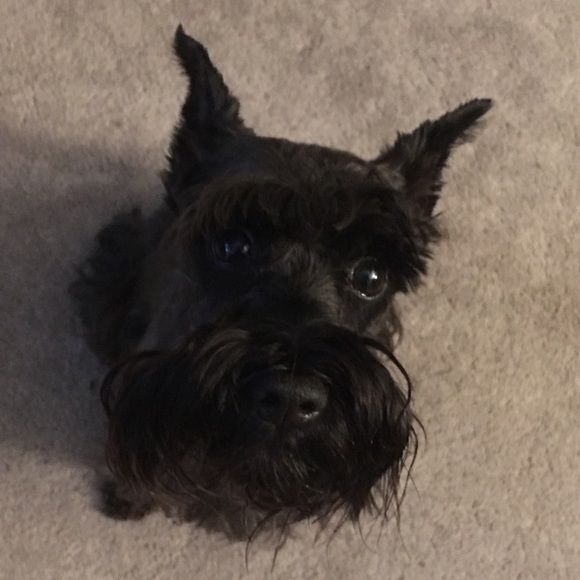 Meet your Posher, Juliane - Picture 4 of 4