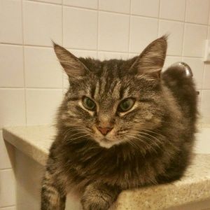 Meet your Posher, Beth