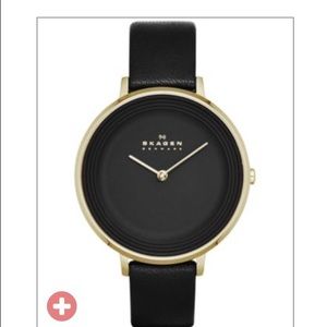 Skagen Watch