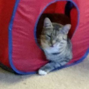 Meet your Posher, Ry