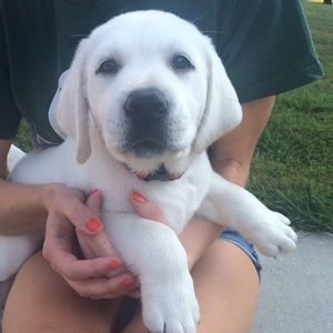 Meet your Posher, Maddy