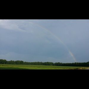 Meet your Posher, D'jara