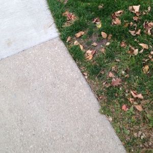 Meet your Posher, Mallory