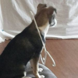 Meet your Posher, Crystal