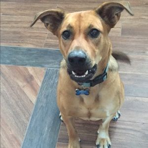 Meet your Posher, Monique