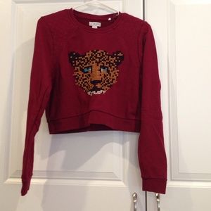 Brand new pacsun crop sweater