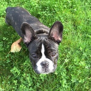 Meet your Posher, Gina