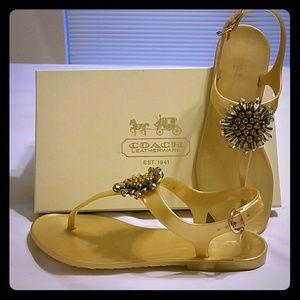 Brand New Coach Hilda Pearlized Jell Sandal