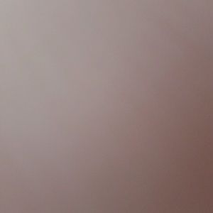 Meet your Posher, Janis