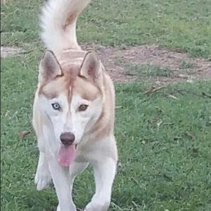 Meet your Posher, Nancy