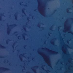 Meet your Posher, Colleen