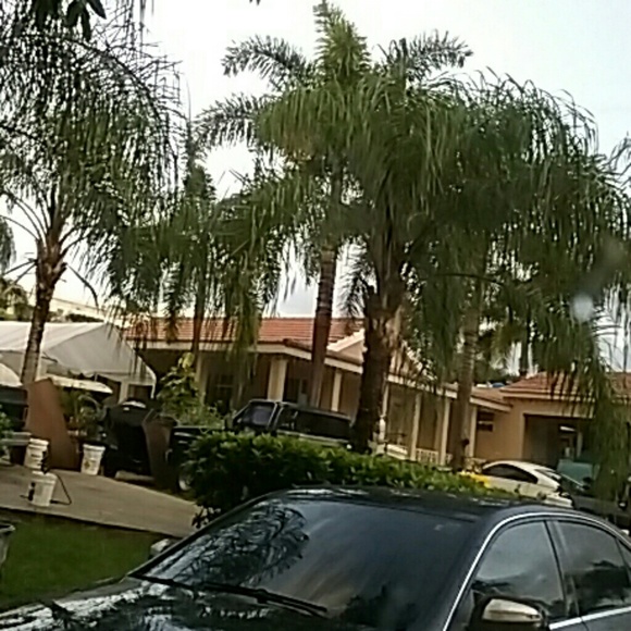 Meet your Posher, Janette