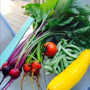 Meet your Posher, Vanessa