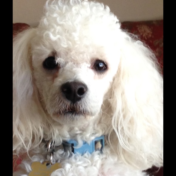 Meet your Posher, Bethany - Picture 2 of 4